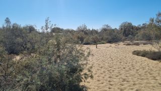 2023-GC--Mapalomas dunas-S123-131.jpg